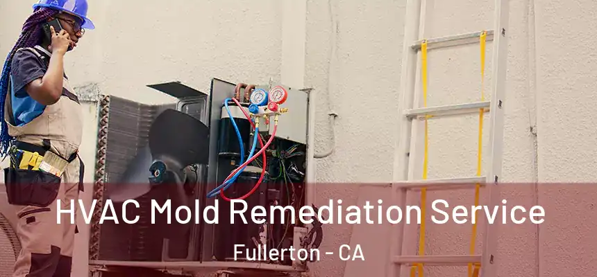  HVAC Mold Remediation Service Fullerton - CA