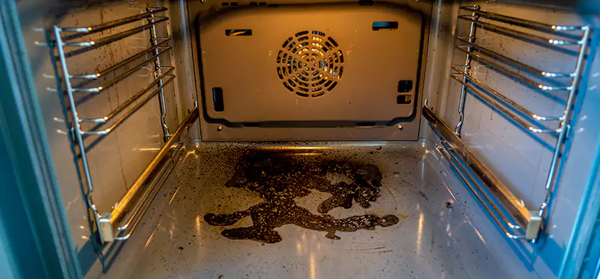 Our Dryer Vent Mold Cleaning Services in Fullerton, CA