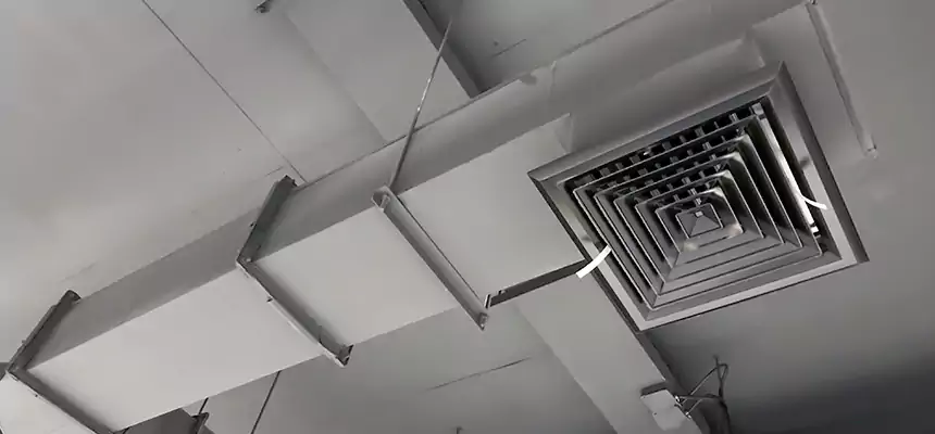 Our Rodent Droppings In Vents Services in Fullerton, CA