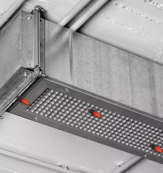 About Air Duct Cockroach Removal in Fullerton, CA