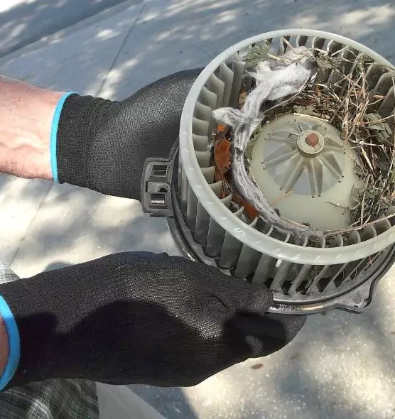 About Air Duct Mice Removal in Fullerton, CA