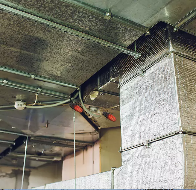 Why Homeowners & Businesses Trust Us in Fullerton, CA?