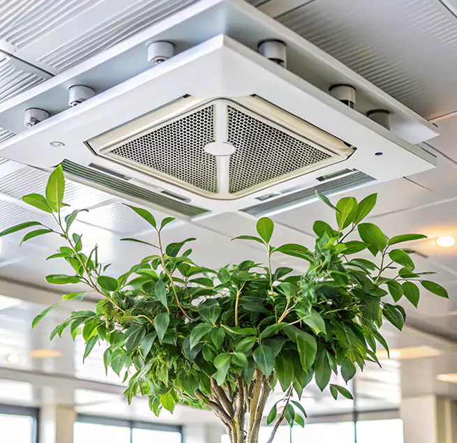 Why Homeowners & Businesses Trust Us in Fullerton, CA?